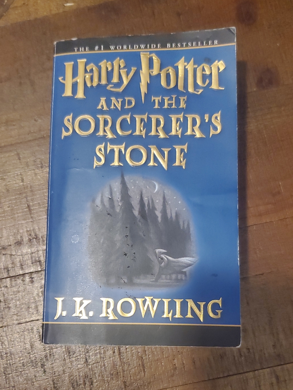 Scholastic Blue and Gold Harry Potter Coffee Table Book